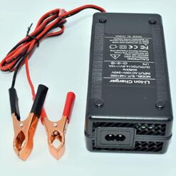 Зарядний пристрій для LiFePO4 10A 12V