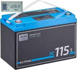 Акумулятор AGM 12 В 115 А·год з екраном ECTIVE DC 115S (Німеччина)