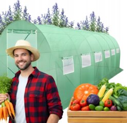 Тепличний тунель для овочів 3x6 м 18 м2 теплиця